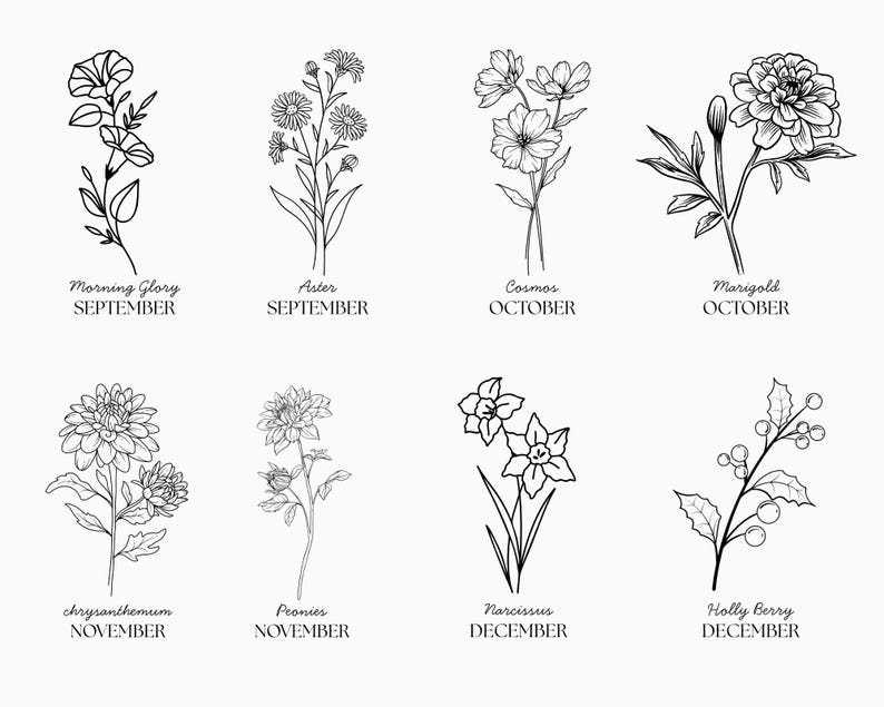 Op de afbeelding: Zwart-witte lijntekeningen van verschillende bloemen en planten, elk met de naam en de maand van bloei. De bloemen omvatten de ochtendglorie, de aster, de kosmos, de goudsbloem, de chrysant, de pioenroos, de narcis en de hulst.