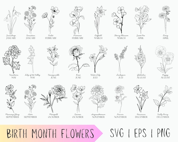 BirthMonth Svg Bundle | Flower Bouquet Svg | Birth Flower Svg | Floral svg | Botanical svg | Birthday svg| Instant Download