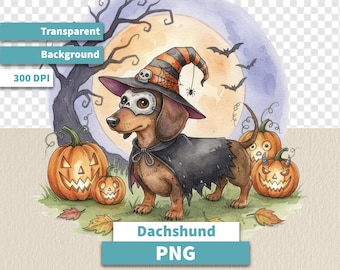 May include: Watercolor illustration of a dachshund dressed for Halloween. The dog wears a witch hat, cape, and mask, standing in front of a full moon, bats, and carved pumpkins. The image includes the text "Dachshund PNG".