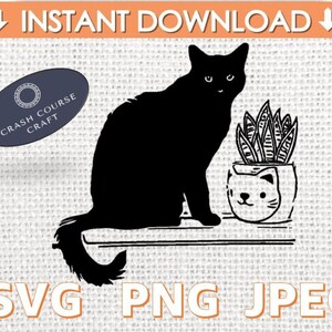 Planta de serpiente de gato negro SVG, planta de gato SVG, gatos y plantas svg, regalo de la planta de la serpiente, planta de Sansevieria, planta Hoarder svg, señora de la planta loca,