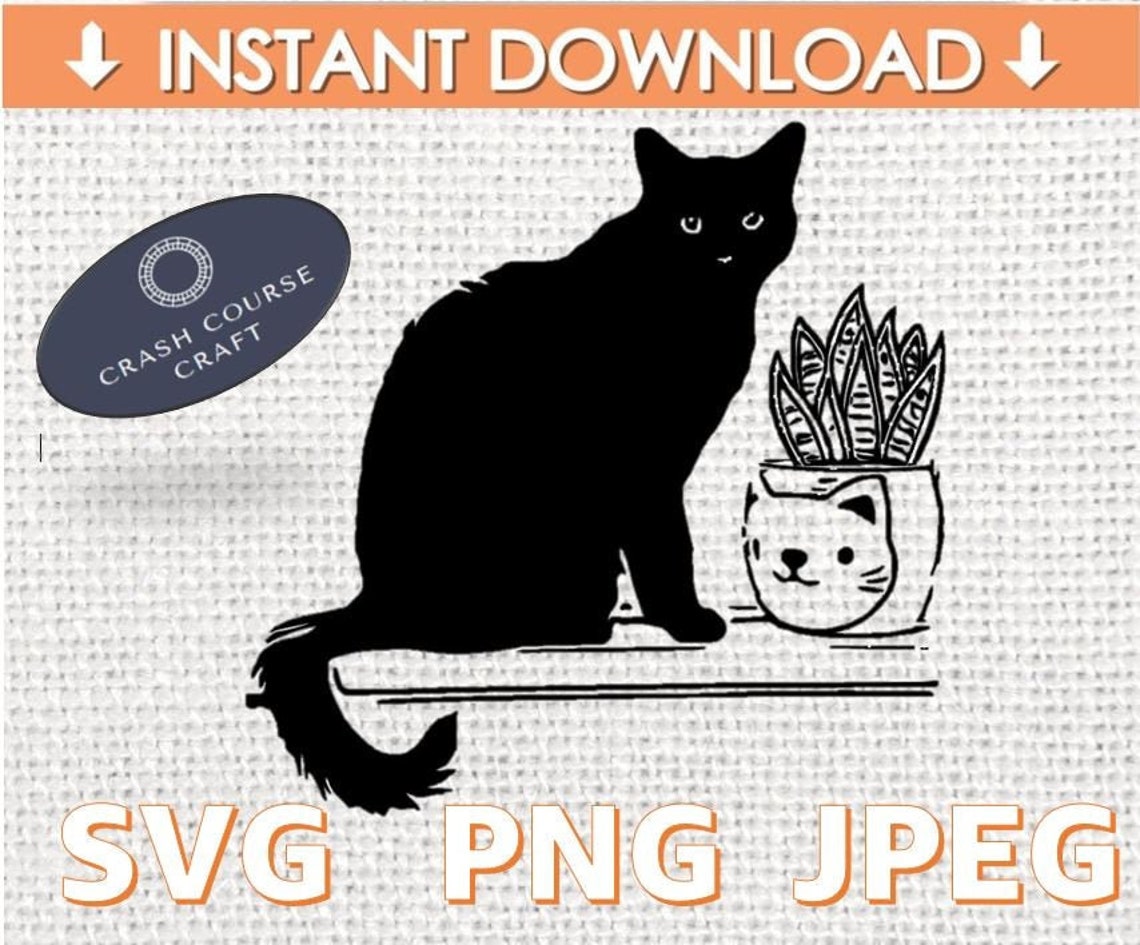 Black Cat Snake Plant SVG Cat Plant SVG Cats and Plants Svg - Etsy