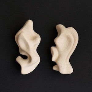 Puede incluir: Dos esculturas abstractas de cerámica blanquecina con formas orgánicas. Una tiene una forma fluida y curvada, la otra una forma más estructurada, similar a una oreja. El fondo es negro liso.
