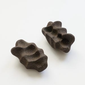 Puede incluir: Dos esculturas de cerámica marrón oscuro, de forma orgánica y superficies texturizadas. Las formas tienen contornos ondulados en forma de ola sobre un fondo blanco liso. Las piezas son probablemente objetos de arte decorativos.