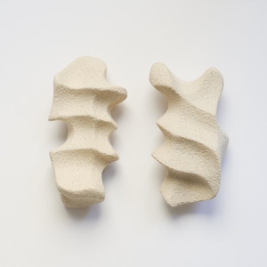 Puede incluir: Dos esculturas abstractas en color beige neutro. Cada escultura tiene una forma orgánica única con una superficie texturizada. Una tiene un diseño más lineal, mientras que la otra tiene una forma curva en espiral. El fondo es blanco liso.