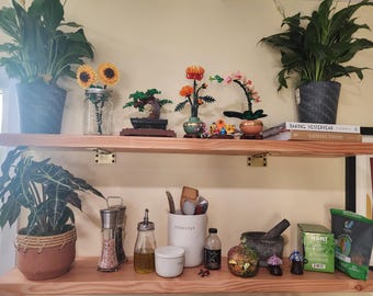 Set of 2 Natural Wood Shelves | Floating Shelf Set | Rustic Home Decor | Wood Wall Shelves for Living Room, Kitchen & Office