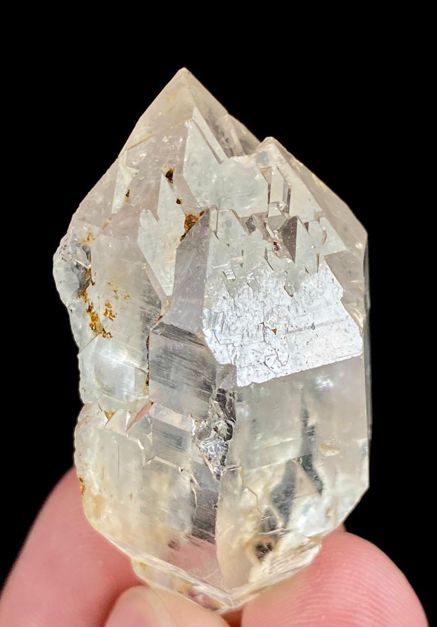 置物 Gwindel MISSING PARTS* Odin Sphere: Gwendolyn Winged Maiden (Valkyrie) 1/8