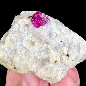 以下が含まれることがあります： 鮮やかなフクシア色のルビーが白い結晶質の岩に埋め込まれた、未加工の原石標本。ルビーが中心で、少し不規則な形をしています。周囲の岩は、ざらざらとした質感の表面で、色の微妙な変化があります。