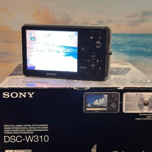 Sony Cyber-shot DSC-W310 Digitalcamera Great Condition