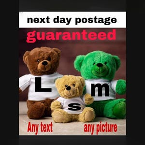 personalised Teddy bear t-shirt