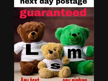 personalised Teddy bear t-shirt