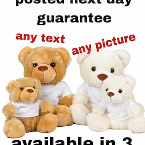 personalised Teddy bear t-shirt