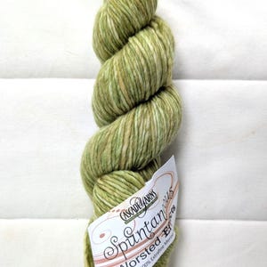 Op de afbeelding: Een streng gemêleerd garen in tinten lichtgroen, olijfgroen en crème. Aan de onderkant is een wit papieren label bevestigd met de tekst Cascade Yarns Spontaneous Worsted Effects 100% Extrafine Merino in zwarte en bruine inkt.