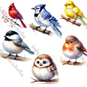 Ensemble d'images clipart aquarelle de variété d'oiseaux | Oiseau mignon, PNG et téléchargement numérique imprimable | illustration d'oiseau peinte à la main, portrait d'oiseau