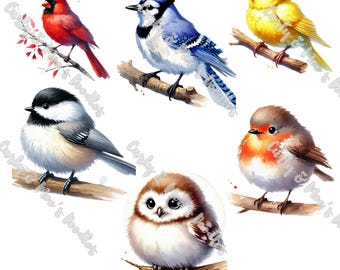 Imágenes prediseñadas de aves en acuarela / Lindas ilustraciones PNG (descarga digital)
