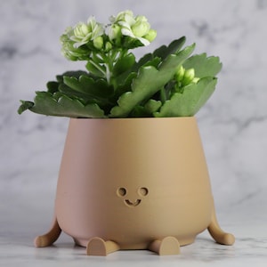 Peut inclure: Un pot en céramique brun avec un visage souriant et quatre pieds. Le pot est rempli d'une plante succulente verte avec des fleurs blanches.