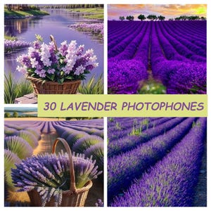 Lavendel Clip Art, 30 Foto-Hintergründe für Fotos, Postkarten, Produkt Fotoshootings, Social Media, Events, Fine Art gemasert.