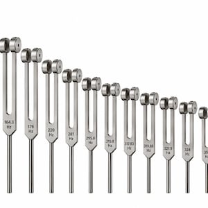 Può includere: Un set di quindici diapason in metallo color argento disposti in ordine decrescente di dimensioni. Ogni diapason presenta due rebbi appesantiti ed è inciso con la specifica frequenza in Hz, da 110 Hz a 492,8 Hz, con un lungo manico.