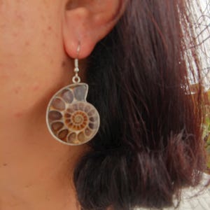 May include: Silver earrings with a brown and white ammonite fossil pendant.