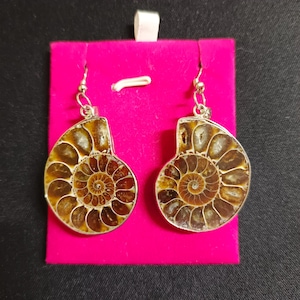 May include: A pair of silver earrings with brown ammonite fossil accents. The earrings are displayed on a pink velvet background.