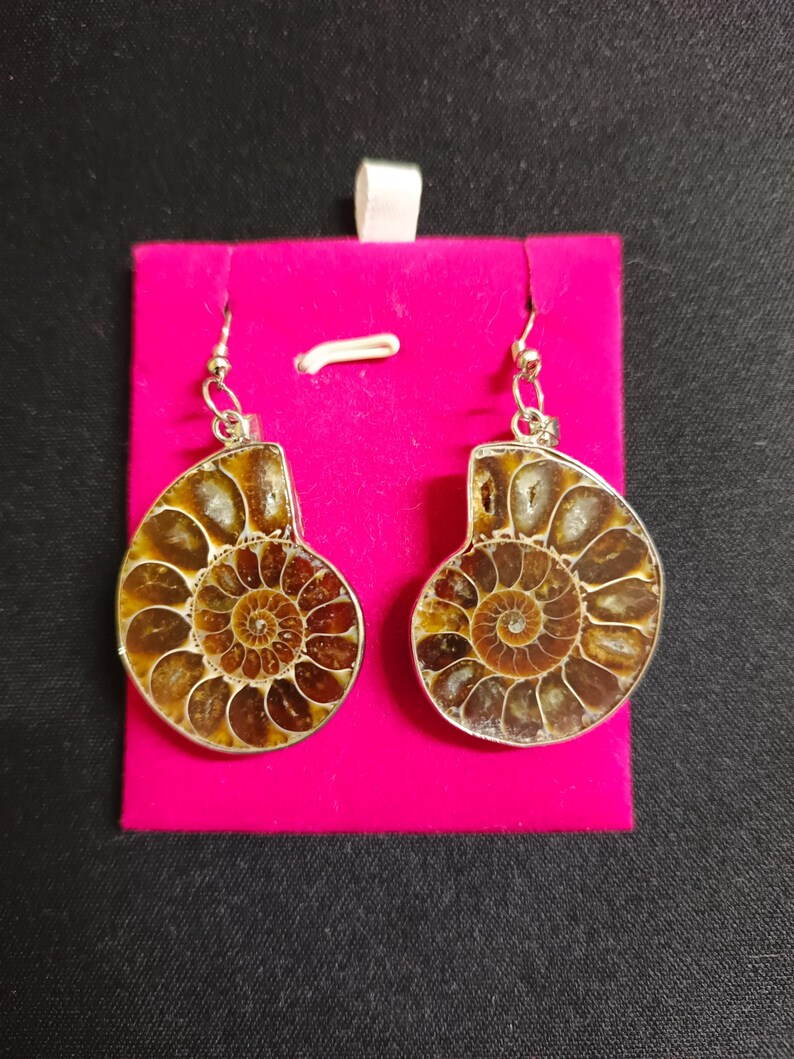 May include: A pair of silver earrings with brown ammonite fossil accents. The earrings are displayed on a pink velvet background.