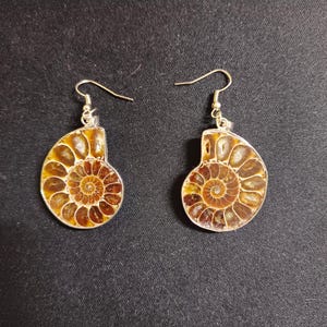 May include: A pair of silver earrings with a brown ammonite fossil pendant. The ammonite is a spiral shell with a detailed pattern.