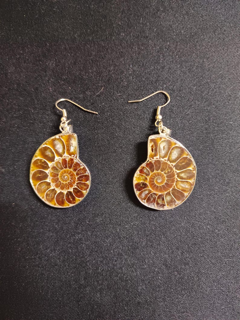 May include: A pair of silver earrings with a brown ammonite fossil pendant. The ammonite is a spiral shell with a detailed pattern.