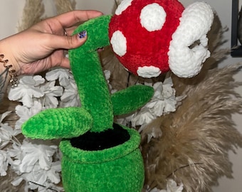 Piranha Mario Pflanze