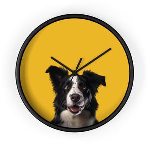 May include: A black and white border collie dog with brown eyes peeks over the edge of a yellow round wall clock with black hands.