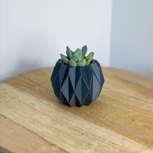 Può includere: Un piccolo vaso nero geometrico con una pianta succulenta. Il vaso ha un design sfaccettato e poggia su una superficie di legno. La succulenta ha foglie verdi. Lo sfondo è bianco neutro.