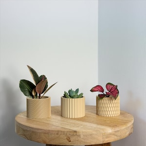 Könnte beinhalten: Drei kleine Topfpflanzen auf einem runden Holztisch. Die Pflanzen umfassen eine Sukkulente, eine Pflanze mit grünen und braunen Blättern und eine Pflanze mit roten und grünen Blättern. Die Töpfe sind beige und haben unterschiedliche geometrische Muster.
