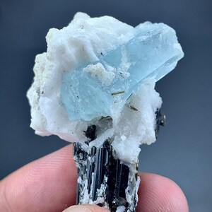 123 Carat Aquamarine Crystal With Black Tourmaline Specimen From Pakistan
