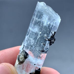 39 Carat Aquamarine Crystal With Black Tourmaline Specimen From Pakistan