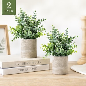 May include: A set of two artificial eucalyptus plants in cylindrical gray concrete-style pots. The plants feature small, rounded green leaves on thin stems. The pots are placed on two stacked books with the text LIVE BEAUTIFULLY and THIS IS HOME.