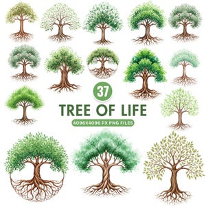 Tree Of Life With Roots Clipart, Watercolor Tree Bundle, Celtic Knot Tree, Family Tree, Genealogy Clipart, Sublimation Design, Sacred Tree