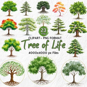 Tree of Life Clipart Watercolor Tree Roots Clipart Digital Download Family Tree Art Yggdrasil Celtic Illustration Mystical Genealogy Design