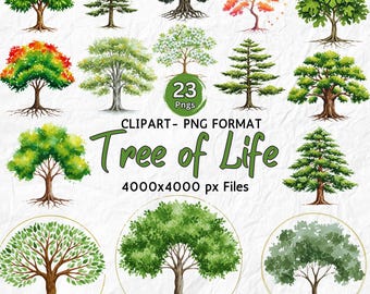 Tree of Life Clipart Watercolor Tree Roots Clipart Digital Download Family Tree Art Yggdrasil Celtic Illustration Mystical Genealogy Design