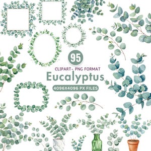 Watercolor Eucalyptus Clipart Bundle: Greenery Wreaths, Frames (PNG Digital Download)