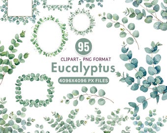 May include: A collection of 95 watercolor eucalyptus clip art images in PNG format. The images include various arrangements of eucalyptus leaves and branches, including frames, wreaths, and individual sprigs. The color palette is primarily green and blue-green.