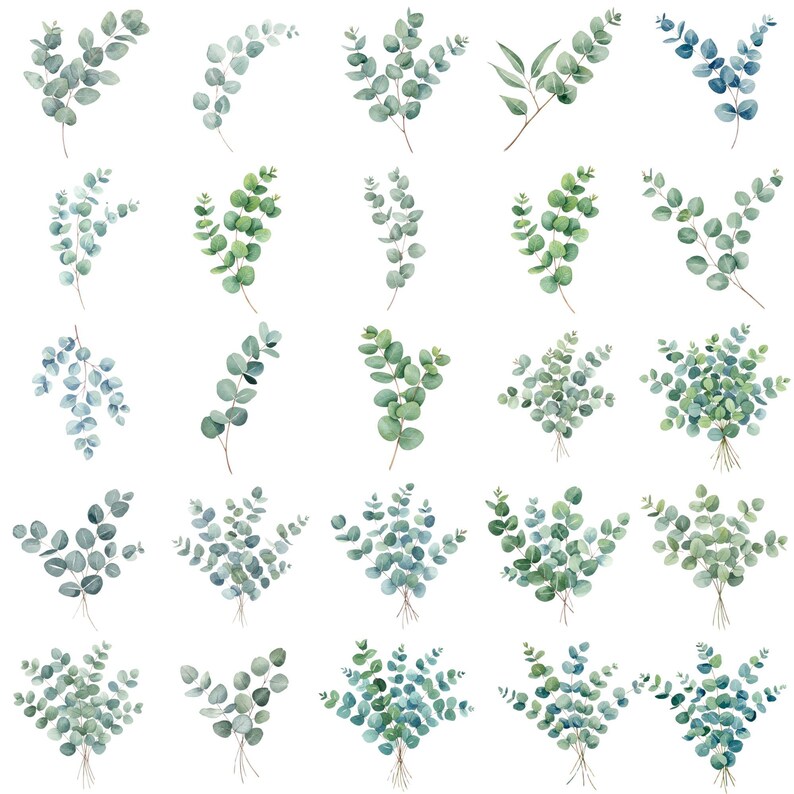Watercolor Eucalyptus Clipart Bundle: Greenery Wreaths, Frames (PNG ...