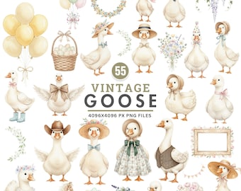 Vintage Goose Clipart, Girly Watercolor Goose PNG, Silly Goose Birthdays, Cottagecore Baby Shower Clipart, Funny Goose PNG, Commercial Use