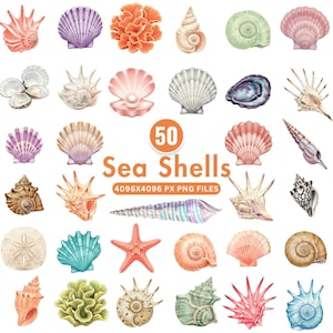 May include: A selection of 50 watercolour illustrations of sea shells in diverse forms and hues, such as pink, purple, orange, and green. The image also features a starfish and coral. Text reads "50 Sea Shells" and "4096x4096 PX PNG FILES".