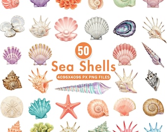 Watercolor Seashell Clipart, Ocean Beach Shells, Pastel Sea Life Elements, Mermaid Shells, Under the Sea Art, Coastal Coral Digital Pack