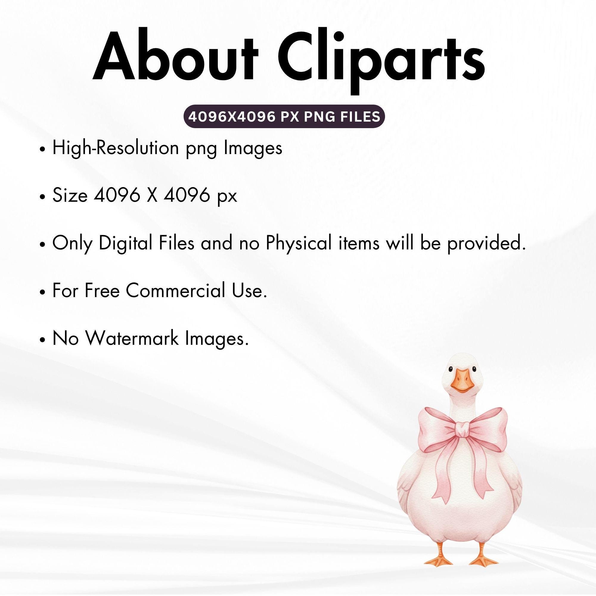 Pink Silly Goose PNG, Girly Goose Clipart, Watercolor Goose, Coquette ...