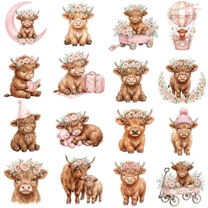 Cute pink highland cow illustration in watercolor style with floral accents, ideal for farmhouse themed prints, stickers, and digital crafts.