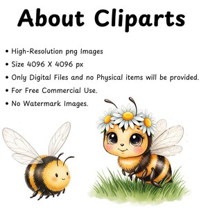 Honey bee watercolor PNG clipart set with beehive and flower illustrations for digital downloads