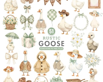 Rustic Goose Clipart, Watercolor Silly Goose PNG, Cute Animal Clipart, Baby Shower Art, Spring Cottagecore Png, Vintage Goose Illustration