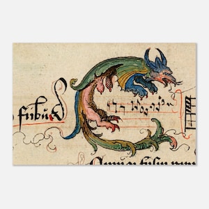 Può includere: Illustrazione medievale di una creatura simile a un drago che forma la lettera 'C'. L'opera presenta testo in inchiostro nero e rosso, con il corpo del drago in tonalità blu, verde e rosa. Un'opera d'arte storica.
