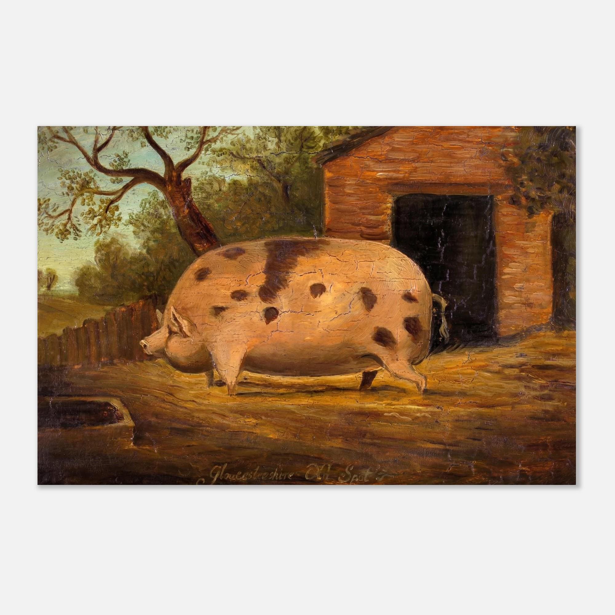 Vintage Antique Pig - Etsy