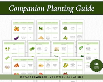 Companion Planting Guide Printable, Garden Planning Chart (Digital Download)