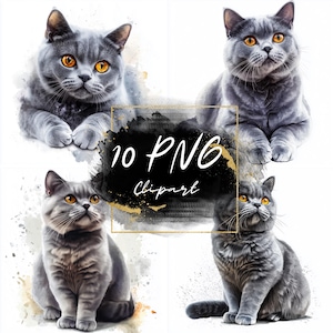 Watercolor British Shorthair Cat Clipart – 10 Cute Cat Illustrations, Perfect for Creative Projects, Realistic Cat Clipart, Commercial Use